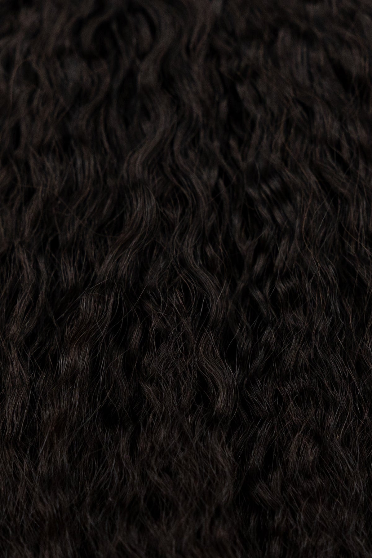 Natural Yaki Curly Virgin Indian Hair